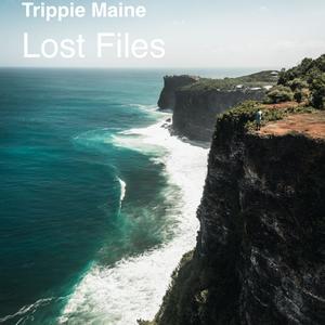 The Drop (feat. Diggz) (Explicit)