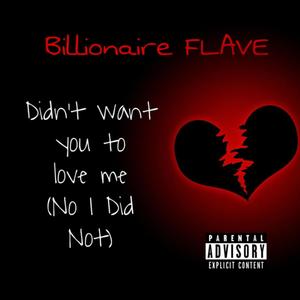 Didn't Want You To Love Me (feat. Corey Wims) [Explicit]