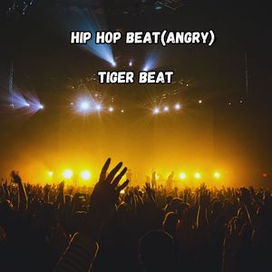 Hip Hop Beat (Angry)