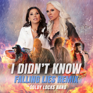 I Didn't Know - Falling Lies Remix