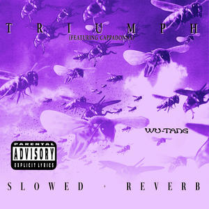 Triumph (slowed + reverb|Explicit)