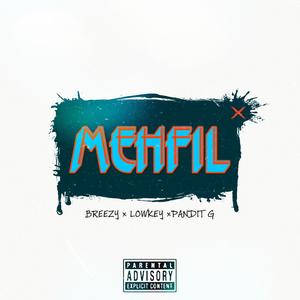 Mehfil Freeverse (feat. Lowkey fr) [Explicit]