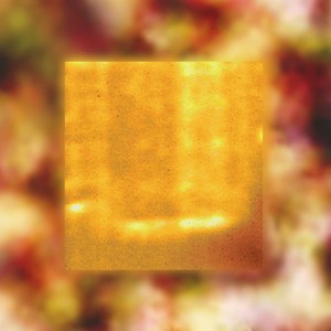 that's my **** (Explicit)