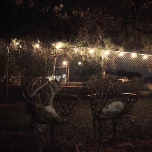 watch me (feat. DEMPSEY DAYS) (Explicit)