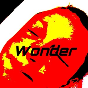 Wonder (Explicit)