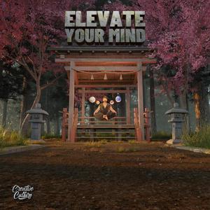 Elevate Your Mind