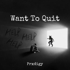 Want To Quit (Explicit)