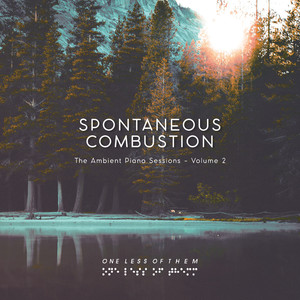 Spontaneous Combustion - The Ambient Piano Sessions - Vol. 2