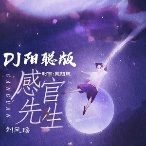 感官先生 (remix: 刘凤瑶|Remix)