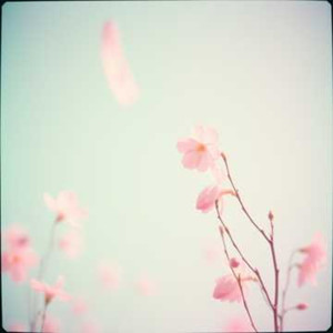 春天得异样风 (李砚超)