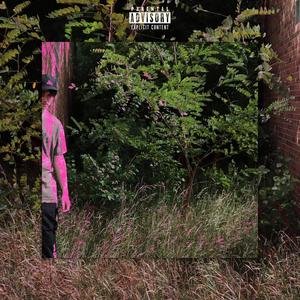 i want you with me (feat. Vega HUH) (Explicit)