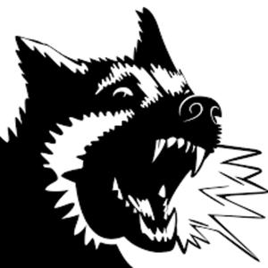 No Bark (feat. Lil Cosa) (Explicit)