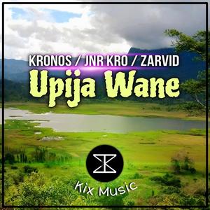 UPIJA WANE (feat. Jnr Kro/ Zarvid)