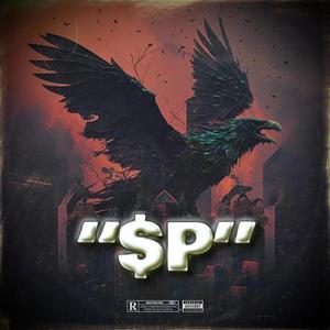 I LIKE THE WAY YOU LOOK (feat. Shooter Jeff & NSKR) (Explicit)