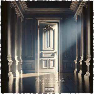 Particular (Explicit)