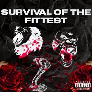 Survival Of The Fittest (Explicit)