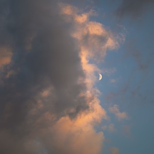 一首半小时写的歌