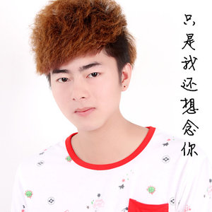 只是我还想念你