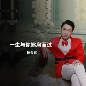 一生与你擦肩而过 (加速版)
