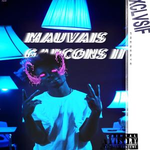 Mauvais Garçons 2 (Explicit)