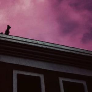 Rooftop (Explicit)