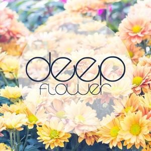 Million Dollars Legs (Remix)