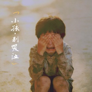 悲欢封面