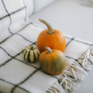 Into the Unknown (Over the Garden Wall)