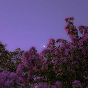 四季予你 (随便版)