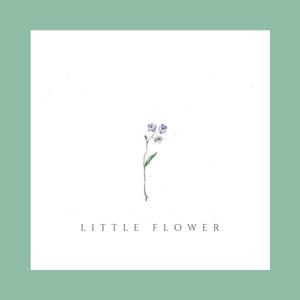 little flower