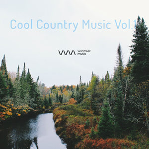 Cool Country Music Vol.1