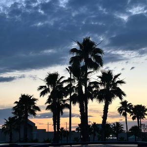 Dont Like Me (feat. Sajack & Bobby Eyekon) (Explicit)