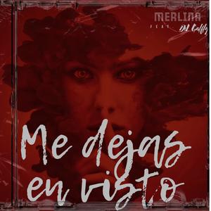 Me dejas en visto (feat. DJ GALFLY)