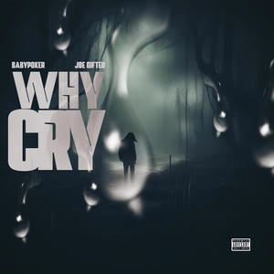 WhyCry (feat. Joe Gifted) (Explicit)