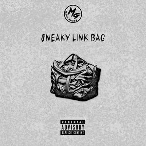 Sneaky Link Bag (Explicit)