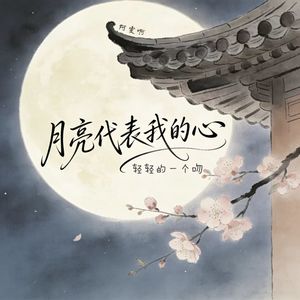 月亮代表我的心（轻轻的一个吻）-阿雯啊