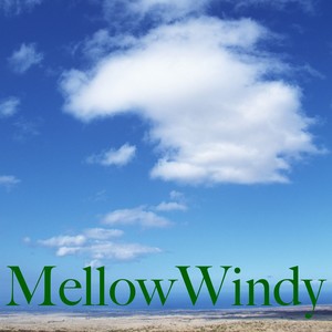 Mellow　Windy・・・癒しの風に吹かれて