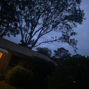 What it Seems (Explicit)