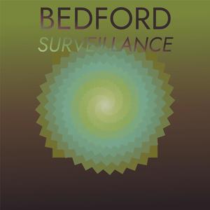 Bedford Surveillance