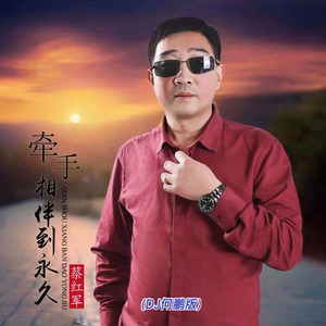 牵手相伴到永久 (DJ何鹏版)封面