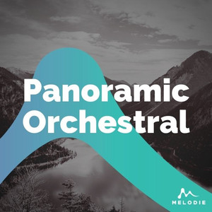 Panoramic Orchestral