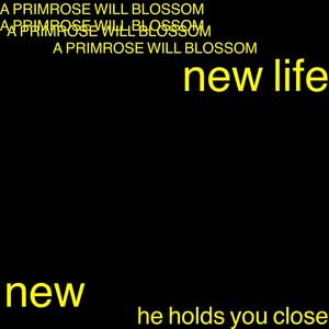 he holds you close (Explicit)