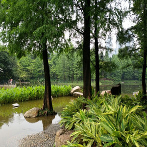 红尘踏浪 (伴奏)