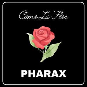 Como La Flor