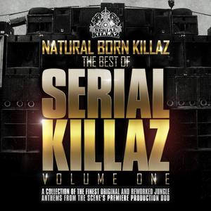 The Licence (Serial Killaz Remix)