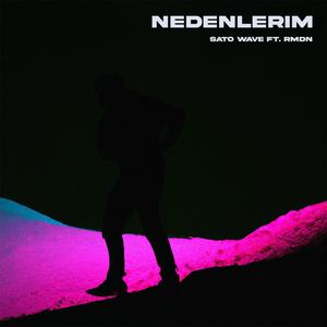 Nedenlerim (feat. RMDN) [Explicit]