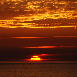 Forreal (feat. Lil Wes) (Explicit)