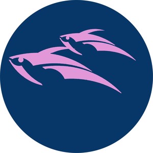 Flying Fishes in the Sky (Robotnick Version)