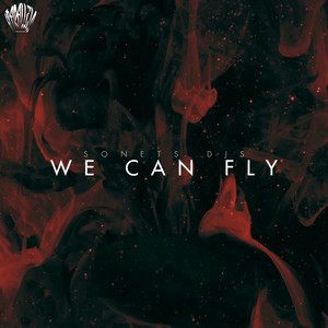 We Can Fly
