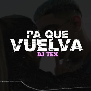 Pa' que vuelva (Remix)